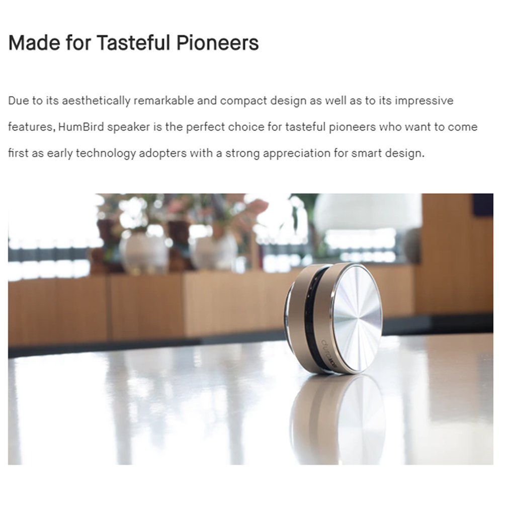 Magnetic Bone Conduction Speaker